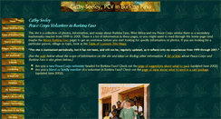 Desktop Screenshot of csinburkinafaso.com